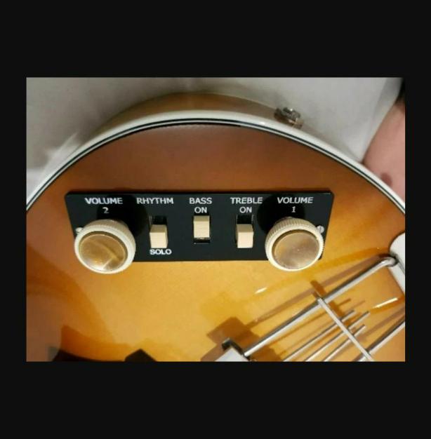 Custom black pickguard and control panel set for Hofner 500/1 Violin Bass - DIY