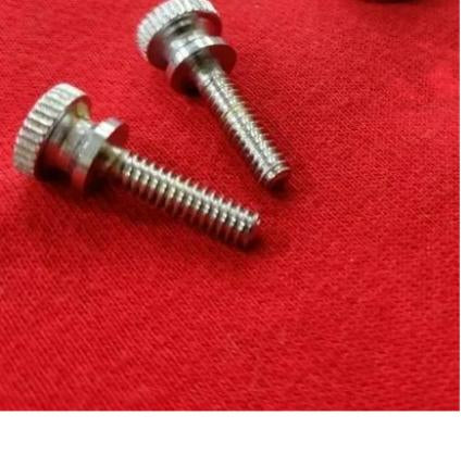 2 pcs Vintage Strap Bolts for Rickenbacker